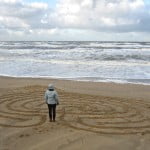 PL, patroon bij Parnassia, 2011