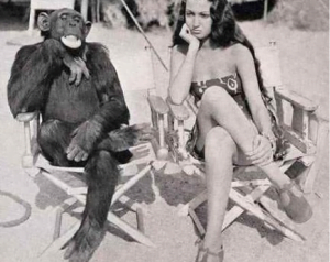 Risico van projectie